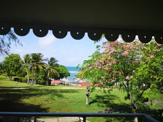  Appartement � vendre 2/3 pi�ces 22 m�