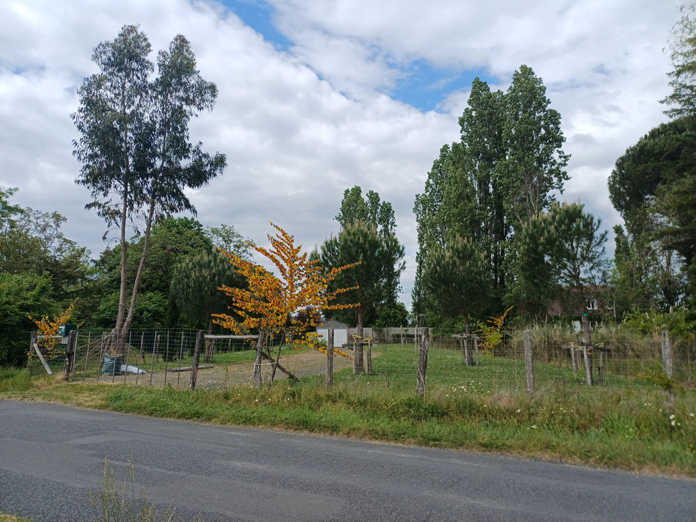 Vente Terrain Terrain de loisirs d'une superficie de 1500m², Fondettes Fondettes