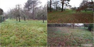  Terrain  vendre 3943 m