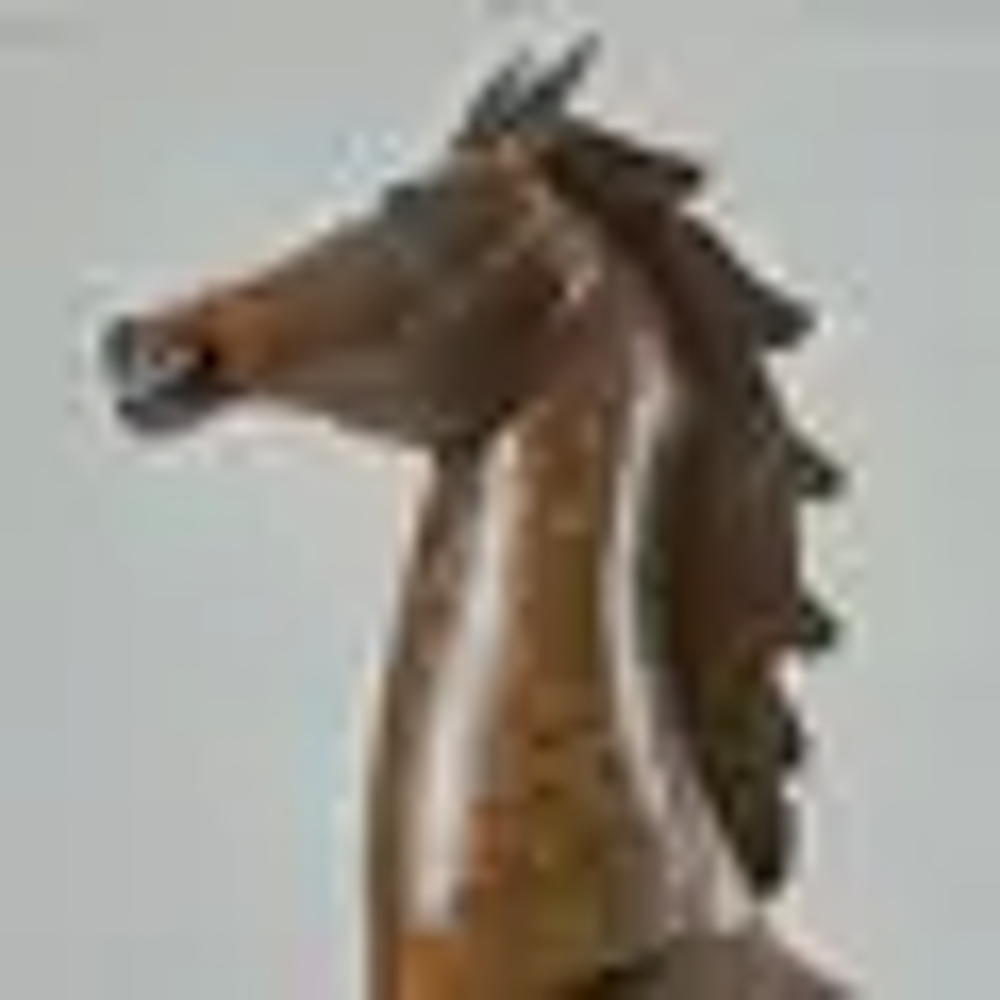 cheval fer demasquine 