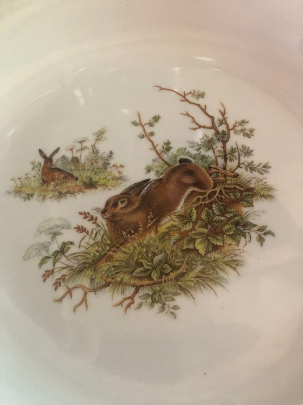 Vaisselle porcelaine de Baviere Décoration