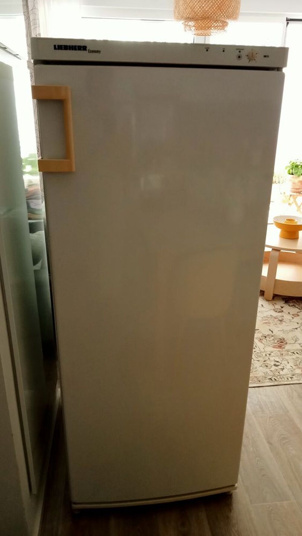 Cong&eacute;lateur armoire Liebherr Electroménager