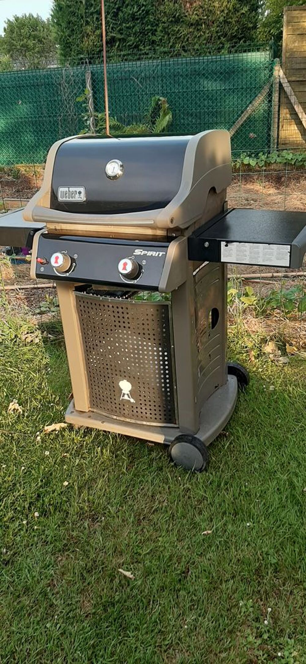 Barbecue gaz weber Jardin
