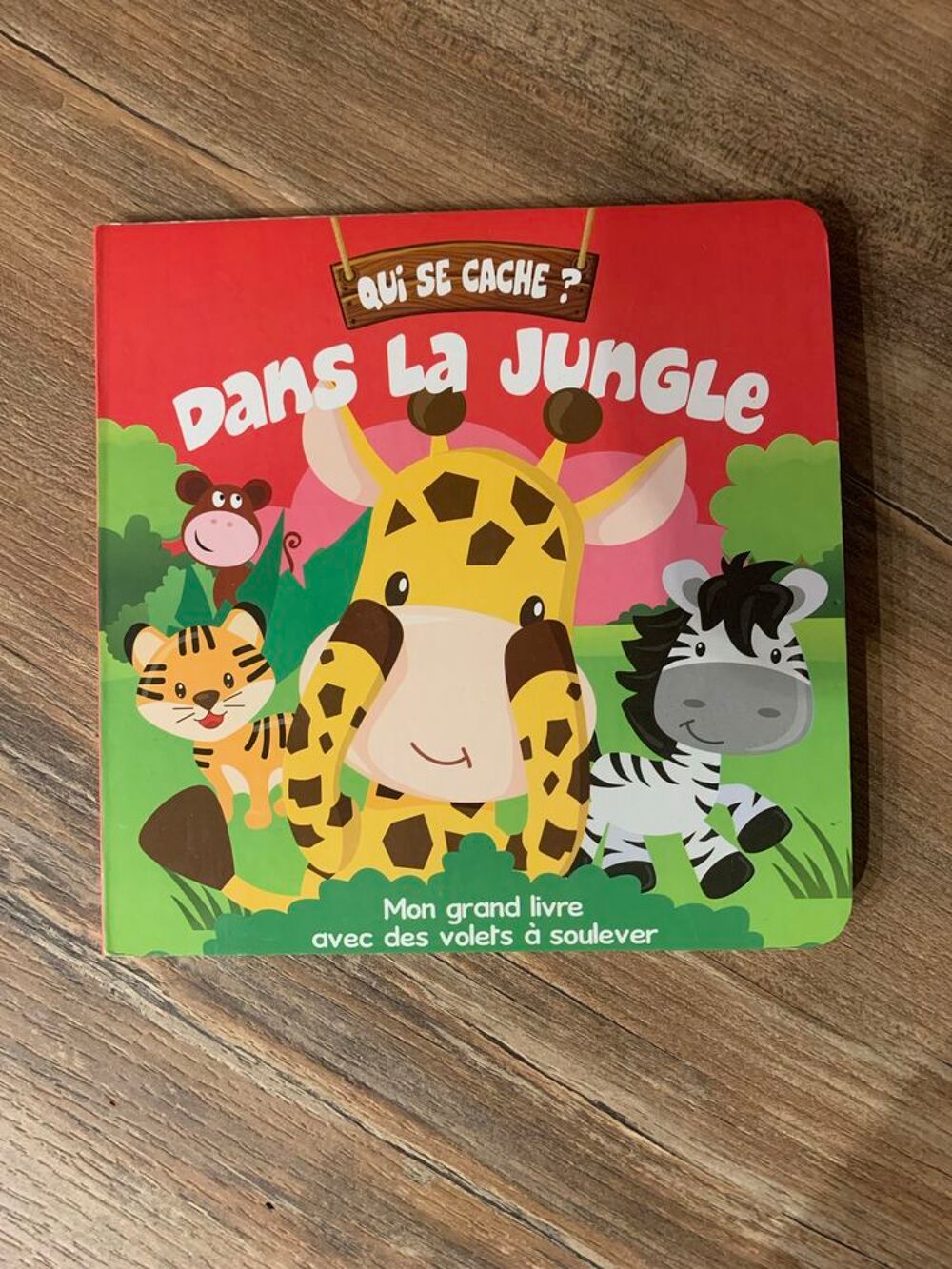 Livre enfant \'\' Qui se cache dans la jungle \'\' Livres et BD