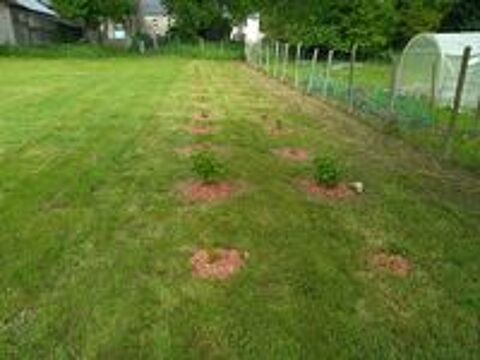   Entretien jardin et dbroussaillage, petits bricolages  