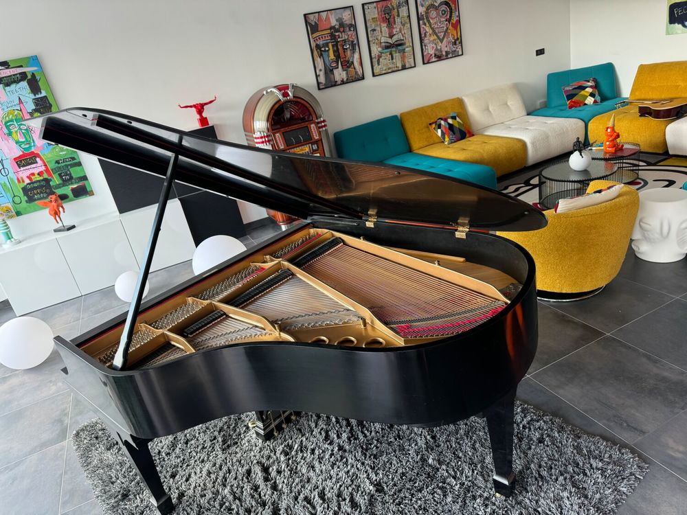 Piano Steinway &amp; Sons (Mod&egrave;le M) Instruments de musique