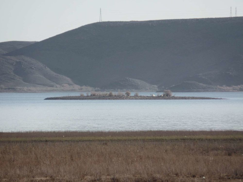 S&eacute;jour de p&ecirc;che &agrave; Ouarzazate Barrage El Mansour Maroc Sports