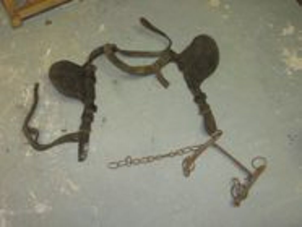 Oeill&egrave;res et mors de cheval en cuir origine Décoration