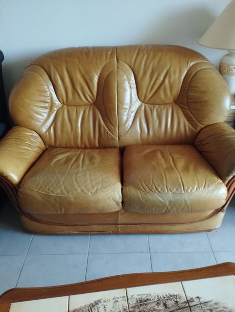 ensemble salon canape + fauteuil cuir et bois Arès (33)