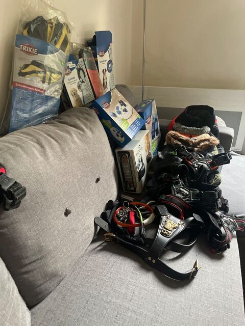 d'occasion divers articles chien Staffy 200 92140 Clamart