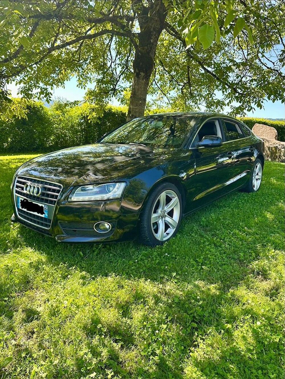 A5 Sportback 2.0 TDI 143 DPF Ambition Luxe Multitronic A 2009 occasion 74800 Arenthon
