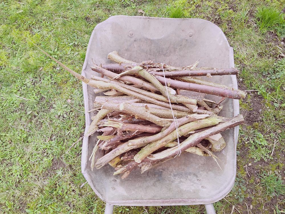 Petit bois d'allumage - branchettes Jardin