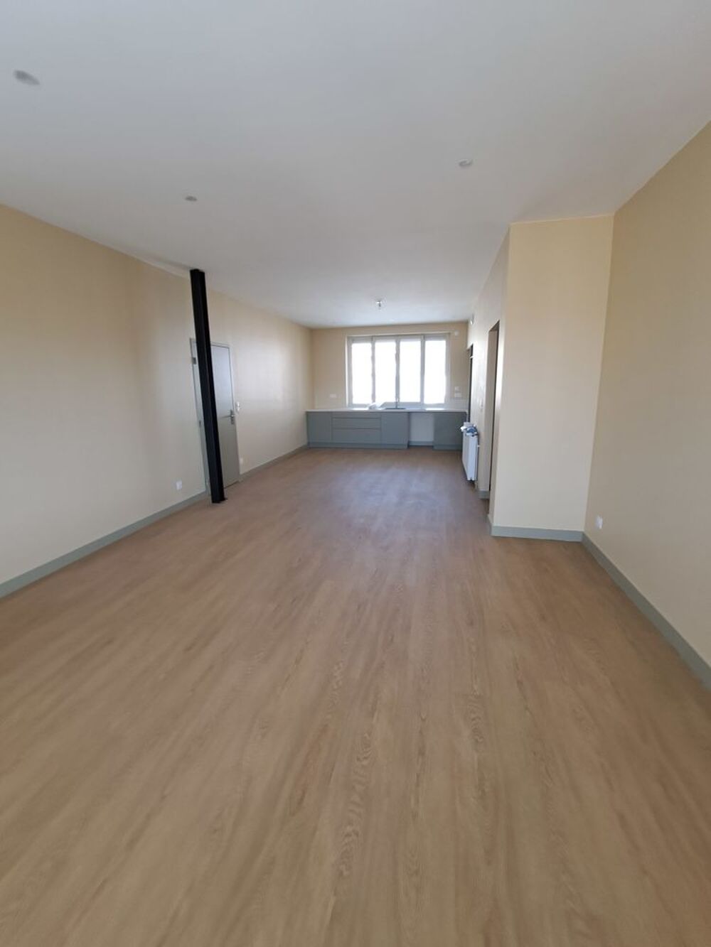Location Appartement Superbe T3 de 80m² entièrement refait à neuf avec isolation thermique et phonique Grenoble