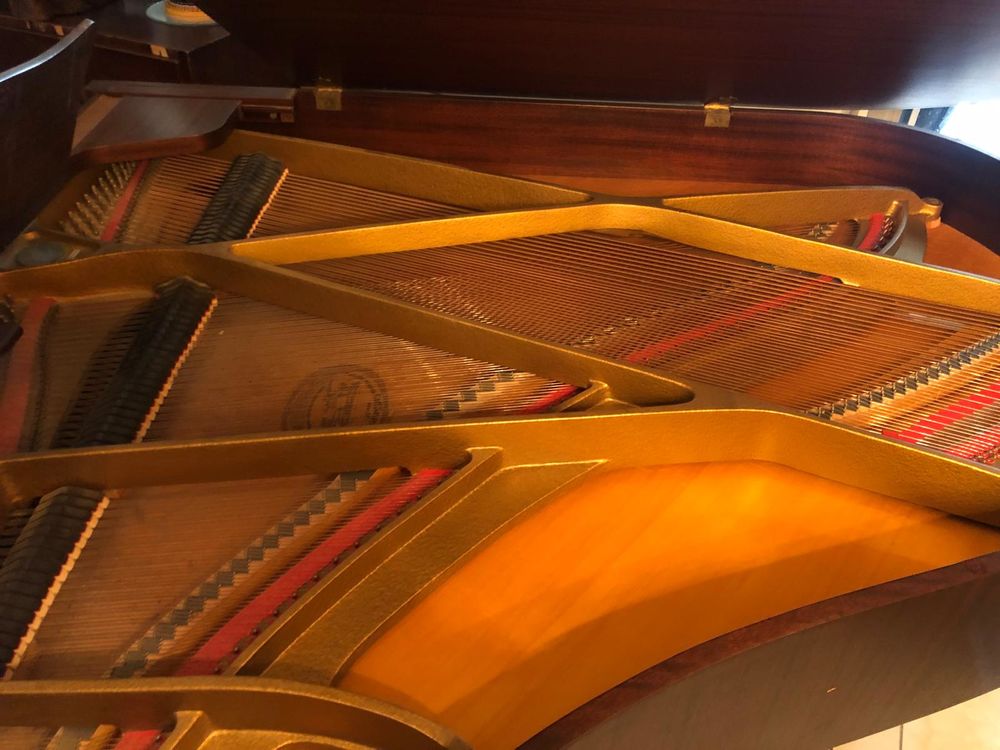 Piano demi queue SAUTER Instruments de musique