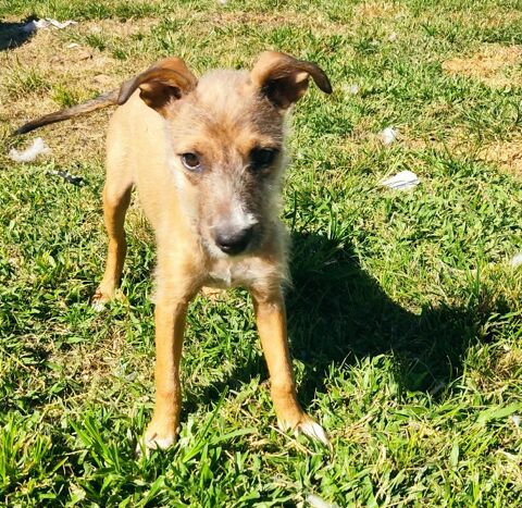 Ashley, la joueuse 300 77000 Livry-sur-seine