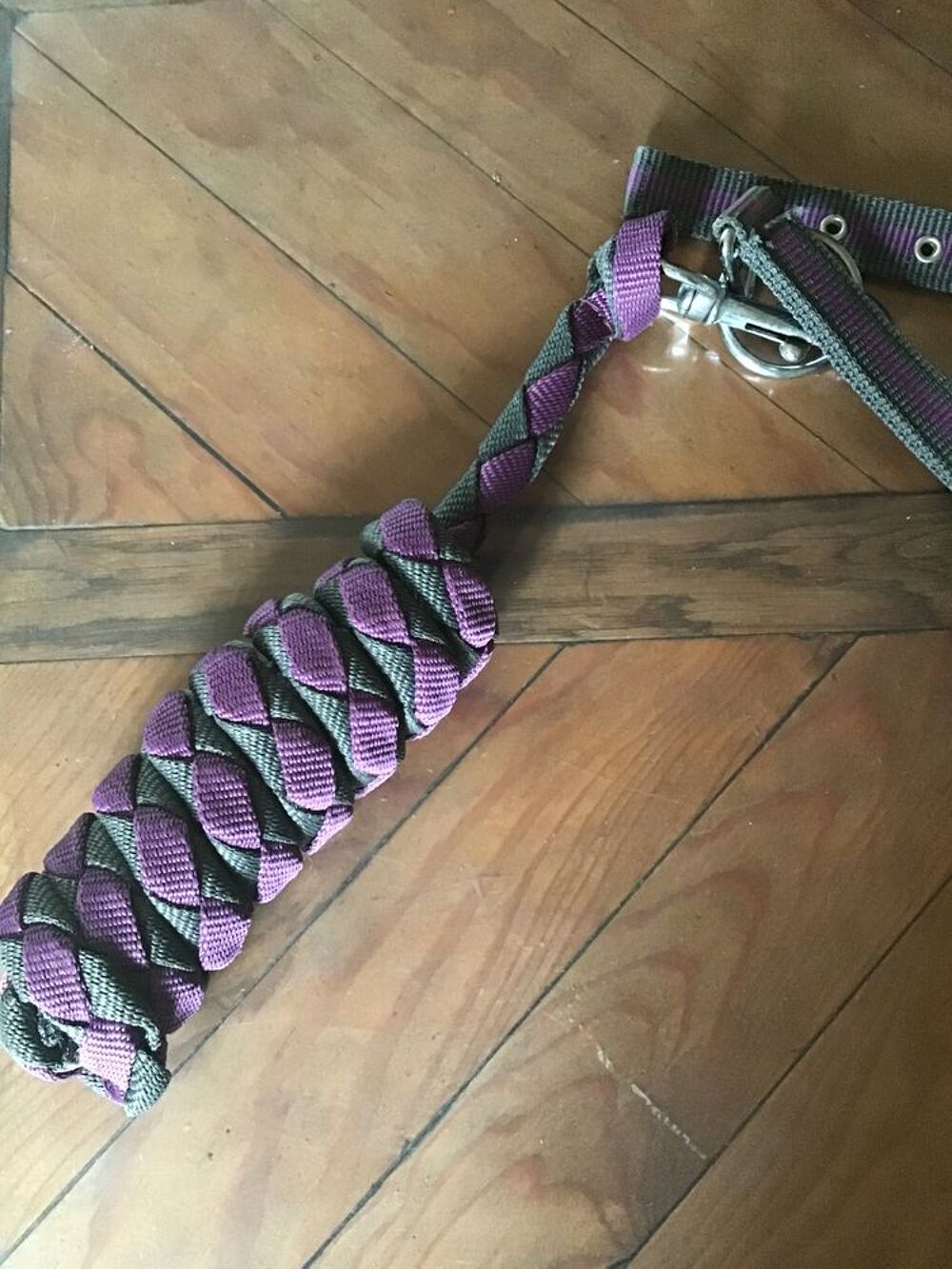 Licol mauve et grise Sports