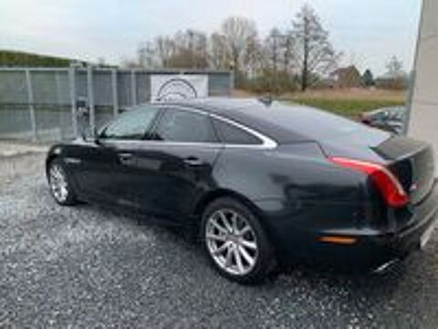XJ V6 3.0 - 275 Diesel Luxe Premium Empattement Court A 2015 occasion 59310 Auchy-lez-Orchies