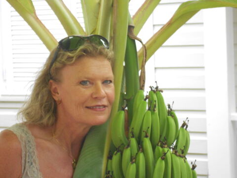 Aide à la personne à domicile. 0 74600 Seynod