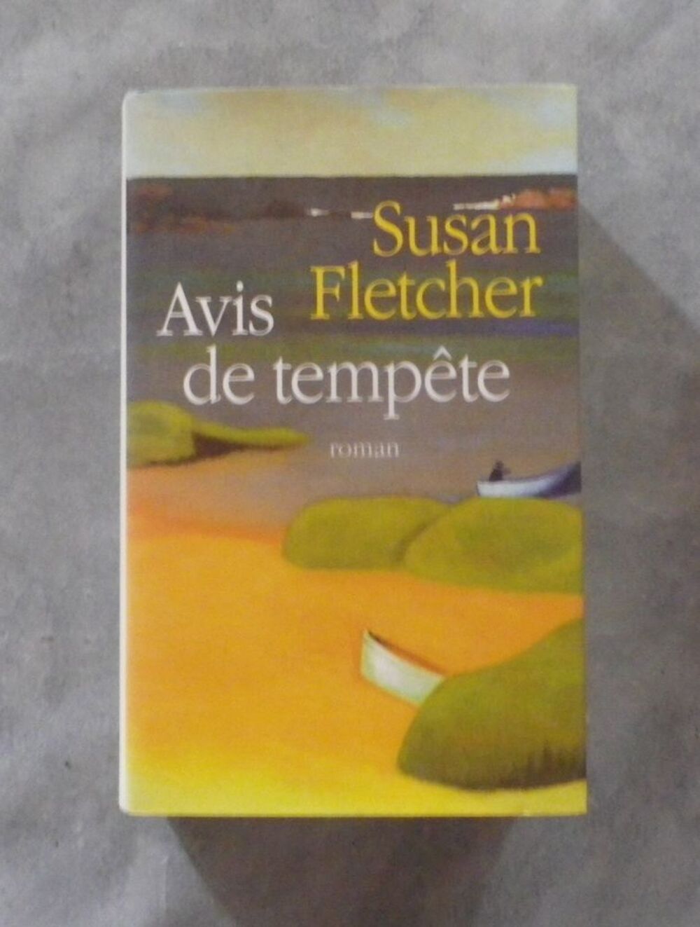 AVIS DE TEMPETE de Susan FLECHTER France Loisirs Livres et BD