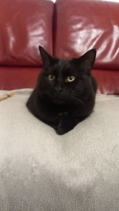 ALDO 75 95420 Magny-en-vexin