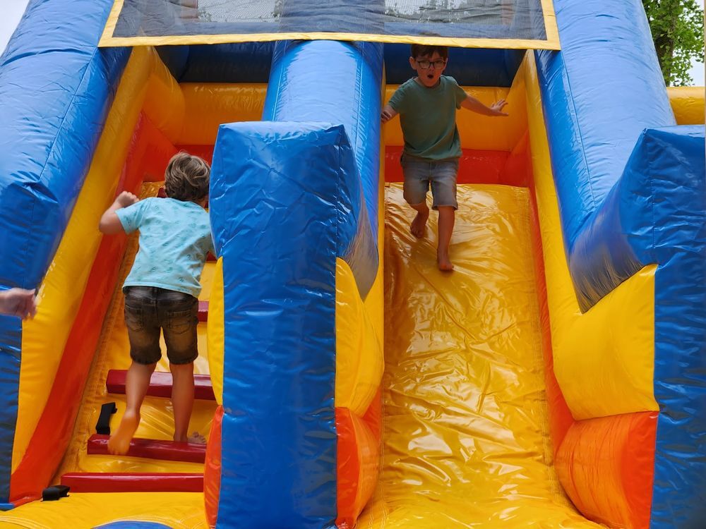 Ch&acirc;teau gonflable licorne professionnel avec toboggan - JB I Jeux / jouets