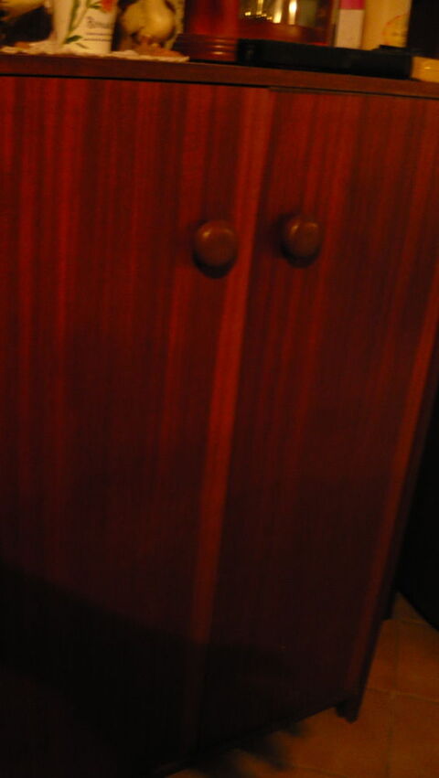 meuble grand modle chaussures 
gd rangement possible 45 Chtillon-en-Vendelais (35)