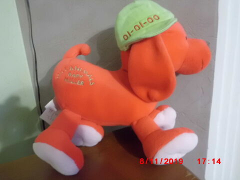 CHIEN ROUGE COMMONWEALTH 17 Oignies (62)