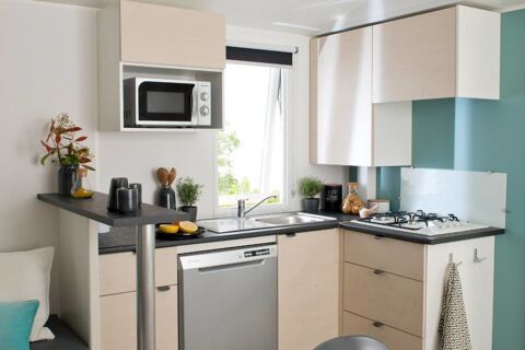 Mobil-Home Mobil-Home 2018 occasion Montagnac-Montpezat 04500