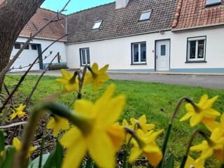 Location  Maison - Villa 