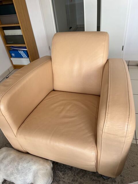 fauteuil Steiner 70 Reims (51)