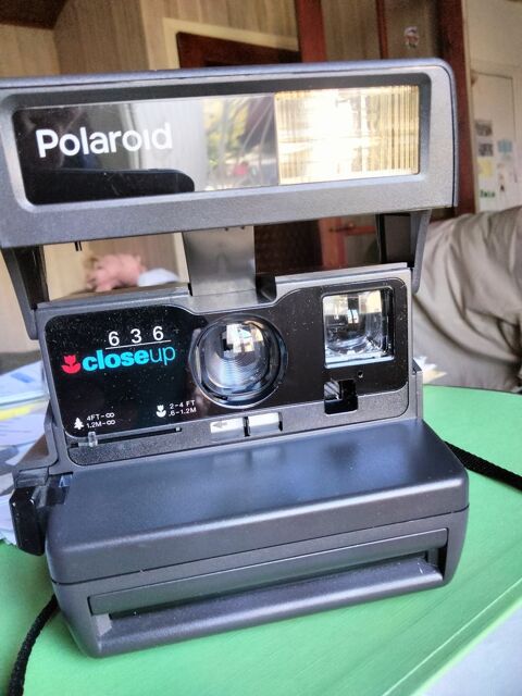 POLARO�D 636 close up
45 Le Puy-en-Velay (43)