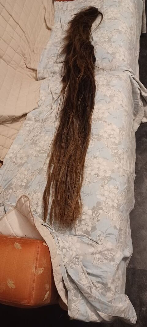  v�ritable queue de cheval naturalis�e et trait�e 60 Lun�ville (54)