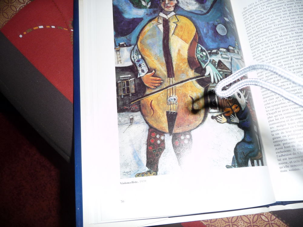 livre peintre CHAGALL Livres et BD