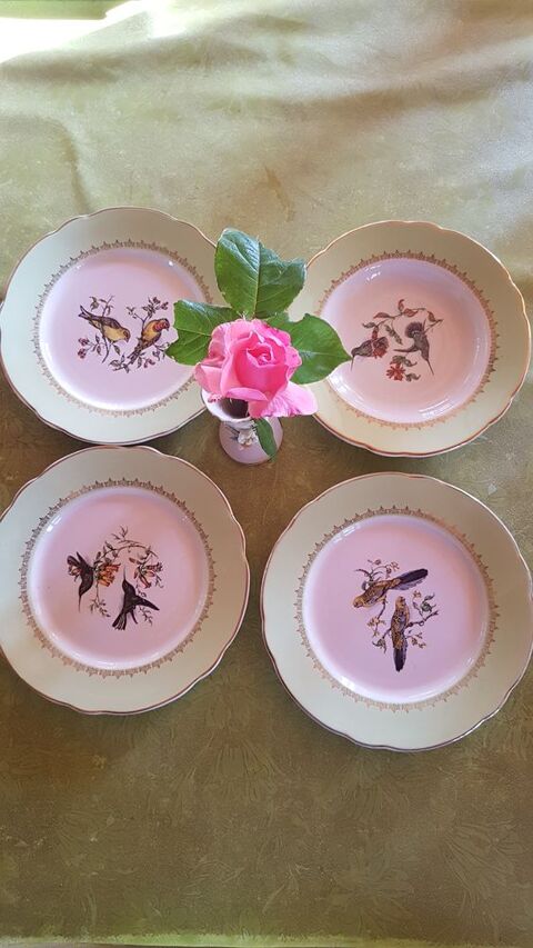 assiettes creuses et plates Luneville Badonviller Curtafond (01)