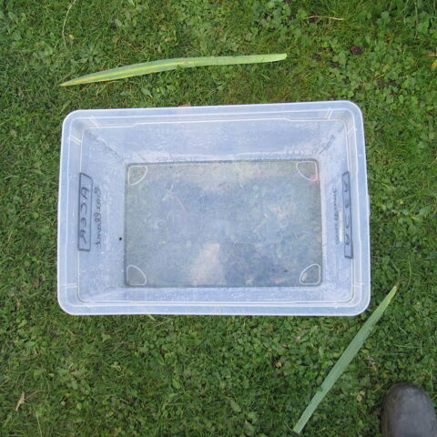 Bac de rangement plastique transparent 88 3 Lang (36)