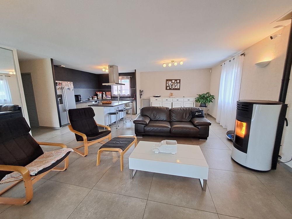 Vente Maison MAISON A LUZINAY Luzinay