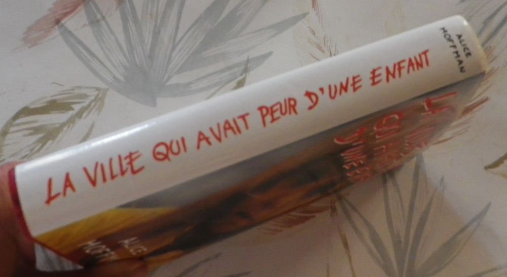 LA VILLE QUI AVAIT PEUR D'UNE ENFANT de Alice HOFFMAN Livres et BD