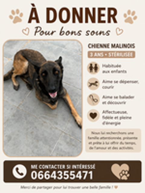   Contre bons soins Uta malinois  