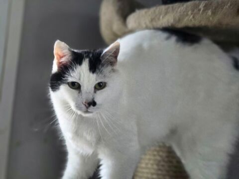 DOMINETTE 210 60000 Beauvais
