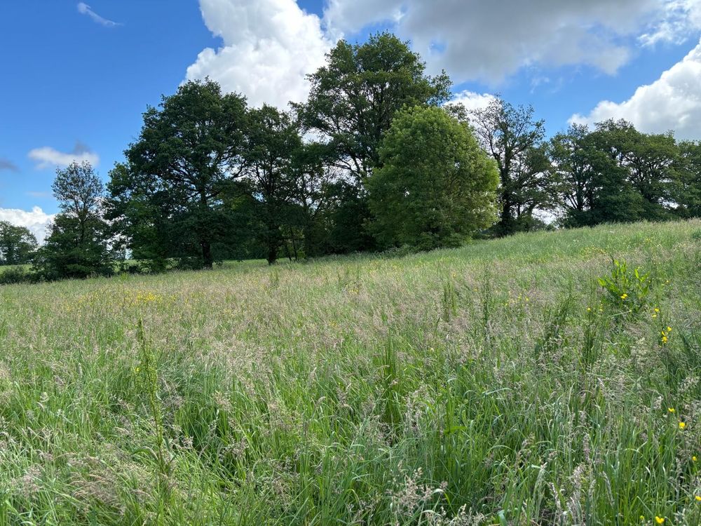 Vente Autre Grange à  transformer avec terrain Chabrac