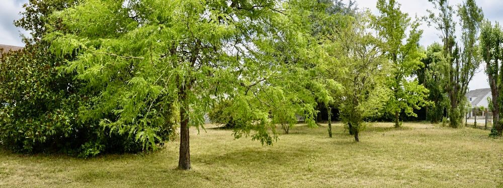 Vente Terrain Terrain de 712 m2 viabilisé, calme, centre ville à pied Châteauneuf-sur-loire