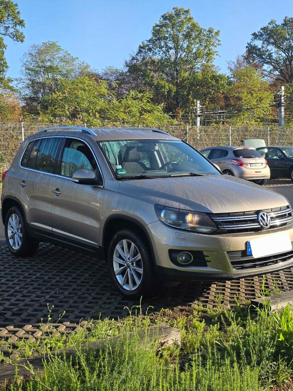 Tiguan 1.4 TSI 150 Bluemotion Technology 2012 occasion 77420 Champs-sur-Marne
