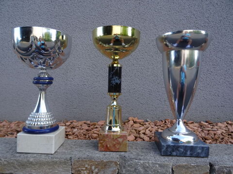 3 coupes en bon �tat. 5 Tr�muson (22)