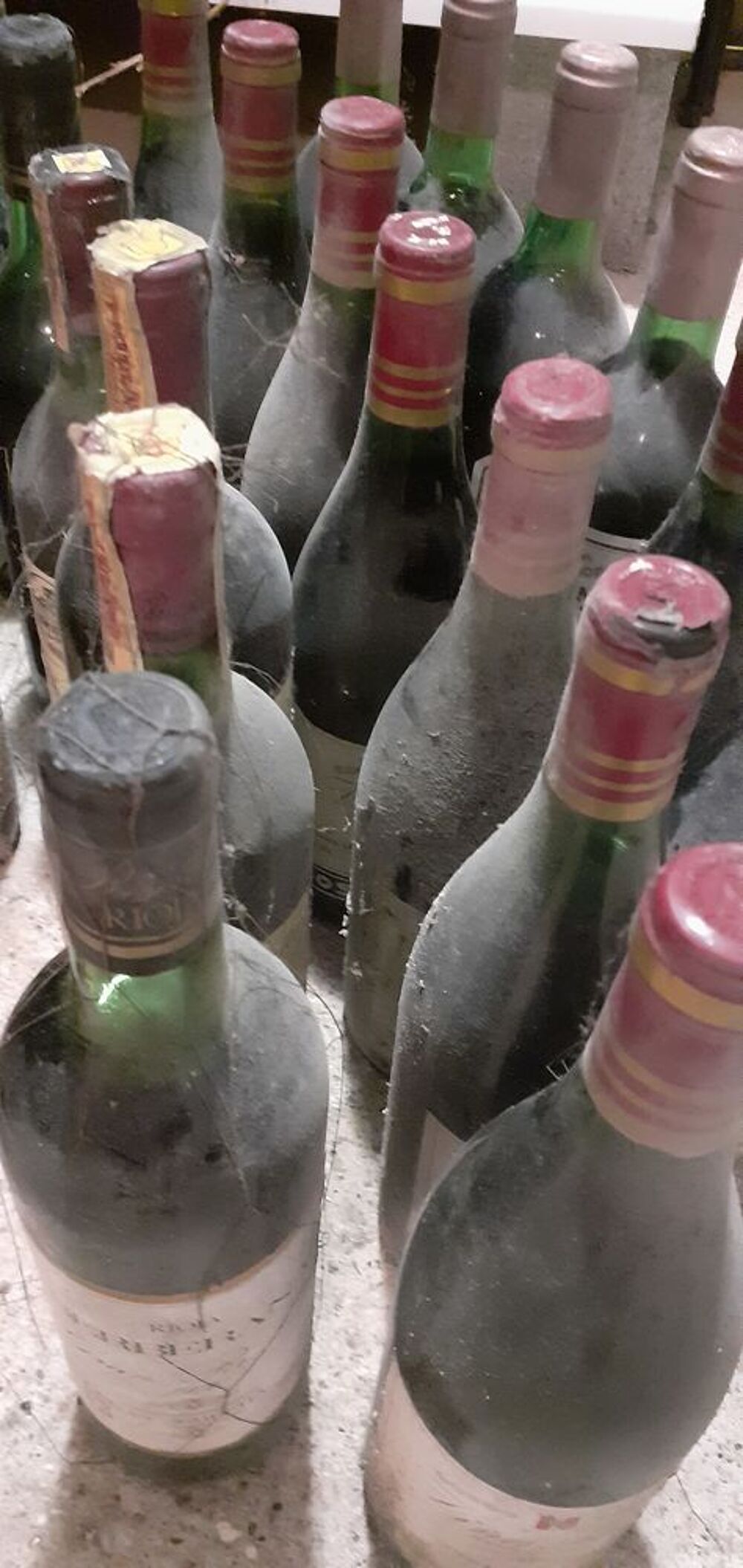 Lot de 35 bouteilles de vin espagnol de 1985 