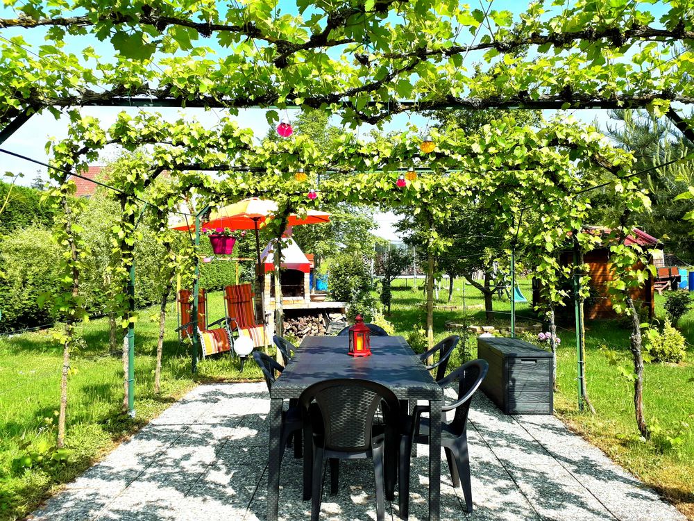   GITE DE LA SECKMATT, EN PLEINE NATURE, DE 4 A 8 PERSONNES,   Alsace, Bernardswiller (67210)