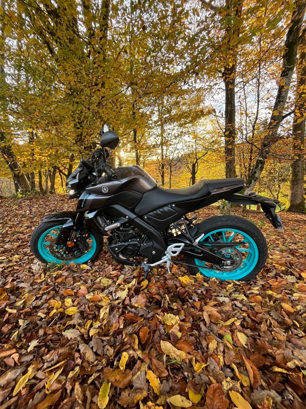 YAMAHA 2025 occasion 88000 &Eacute;pinal