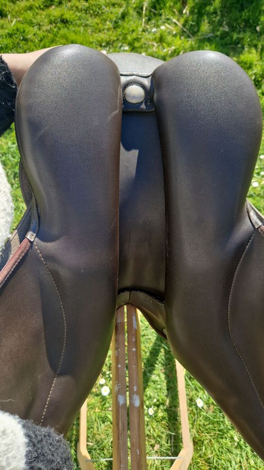Selle Wintec Marron 17,5" Sports