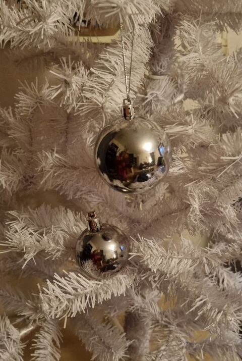 Lot de 2 boules de No�l argent�es ? 1 moyenne + 1 petite 3 Aix-les-Bains (73)