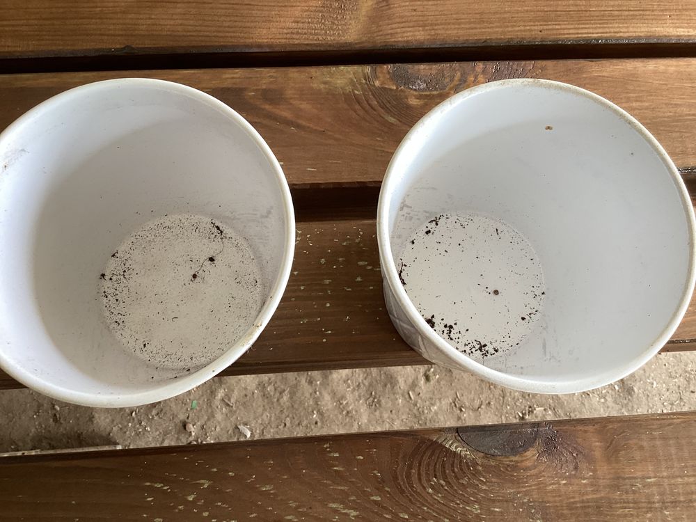 Pots de fleurs &agrave; verres Jardin
