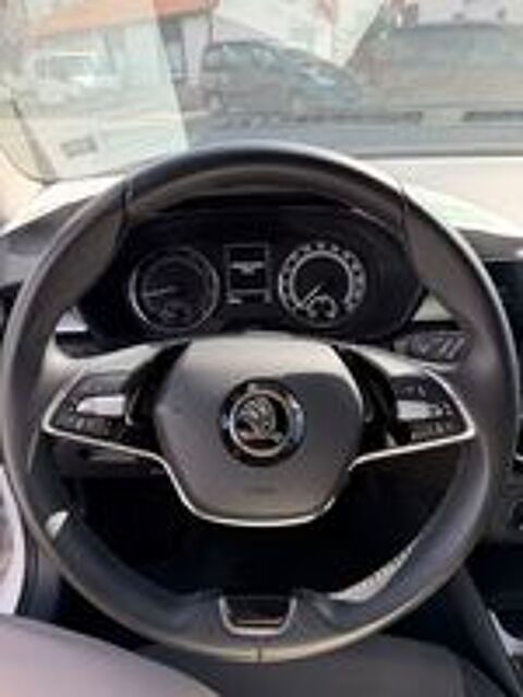 Fabia 1.0 TSI 95 ch BVM5 Ambition 2022 occasion 40100 Dax
